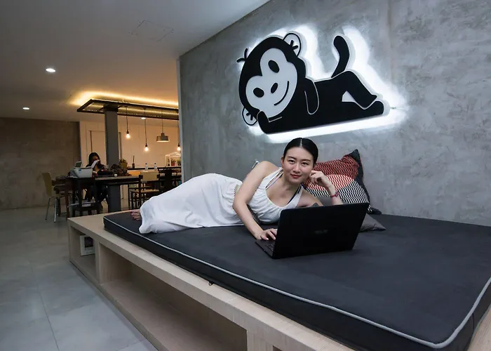 Monkeynap
